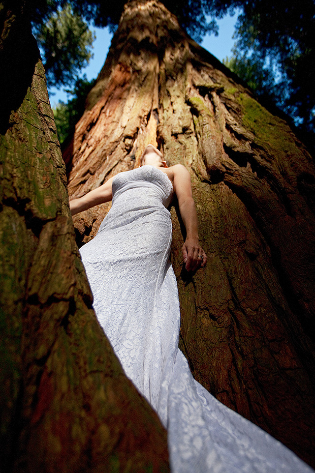 Couple Travels 135,000 Miles Over 5 Years for Wedding Dress Portraits RedwoodNationalForrest