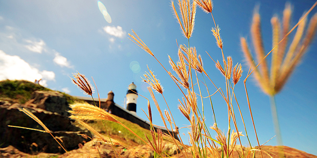 Creative 365 Project Captures the Same Lighthouse in 365 Different Ways Alves filho barra lighthouse 11