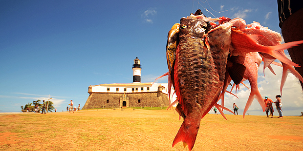 Creative 365 Project Captures the Same Lighthouse in 365 Different Ways Alves filho barra lighthouse 12