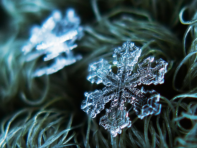 fstoppers snowflakes alexey 4 18 Unbelievable Images of Snowflakes