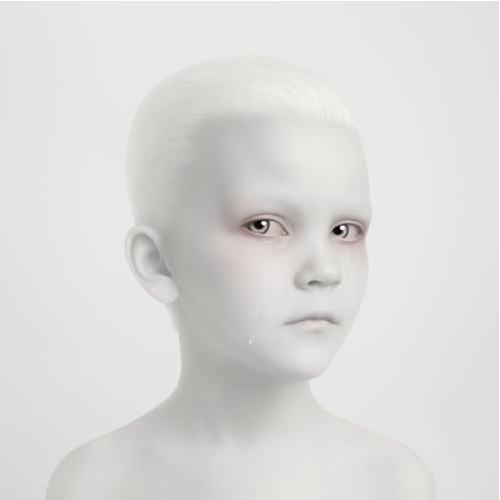 toy03 [Pics] Child Portraits Inspired by Funeral Photography