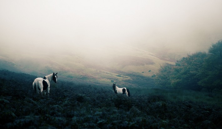 Finn Beales Postcards Wales 11 710x414 An Exploration of Home: Photographer Finn Beales Postcards from Wales Series