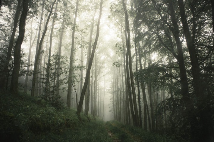 Finn Beales Postcards Wales 10 710x473 An Exploration of Home: Photographer Finn Beales Postcards from Wales Series