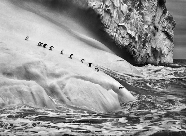 Sebastião Salgado 黑白纪实 (黑白 纪实 摄影 巴西 Sebastiao Salgado )