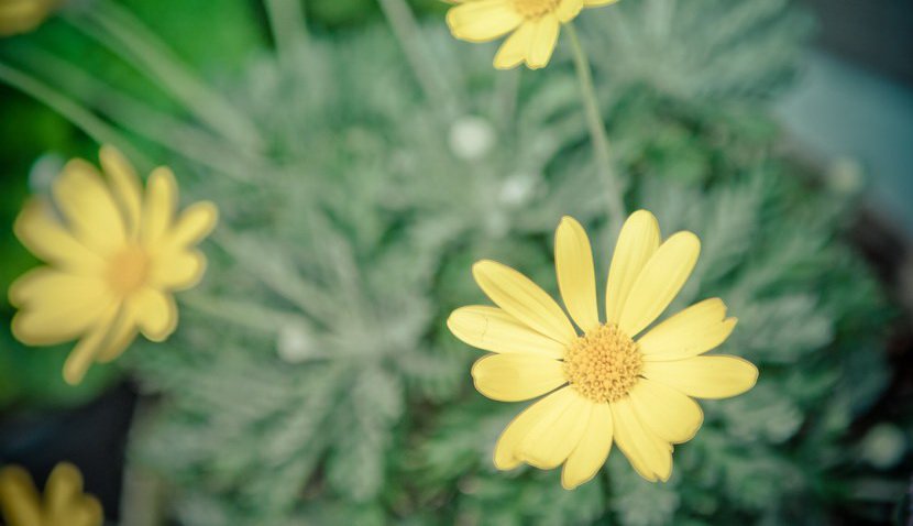 boring_photography06